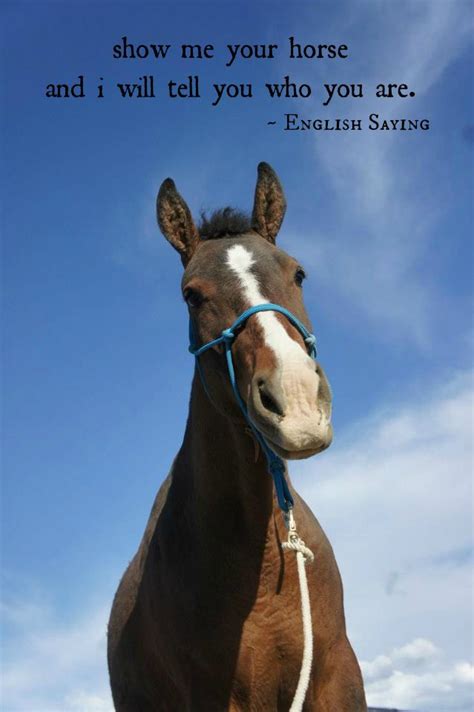 Horse Quotes: Inspirational and Funny Sayings about Horses.